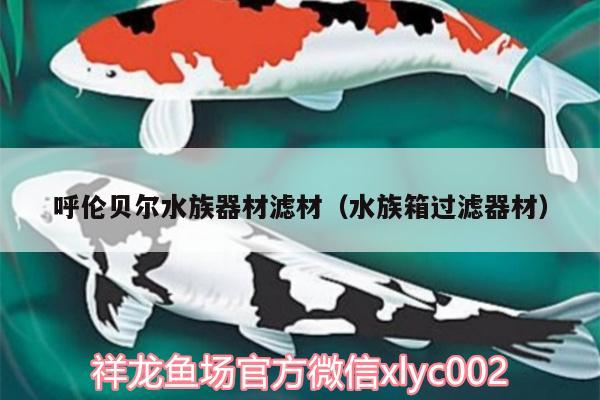 呼倫貝爾水族器材濾材（水族箱過濾器材） 魚缸/水族箱