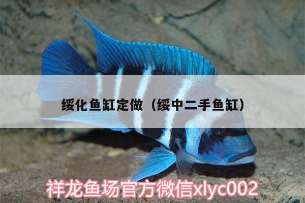 綏化魚缸定做（綏中二手魚缸）