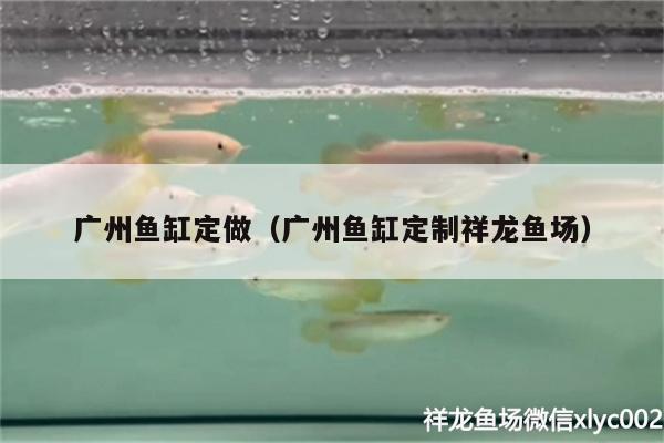 廣州魚缸定做（廣州魚缸定制祥龍魚場） 祥龍魚場