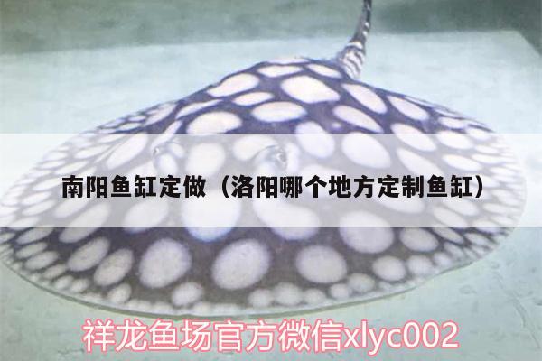 南陽魚缸定做（洛陽哪個地方定制魚缸）