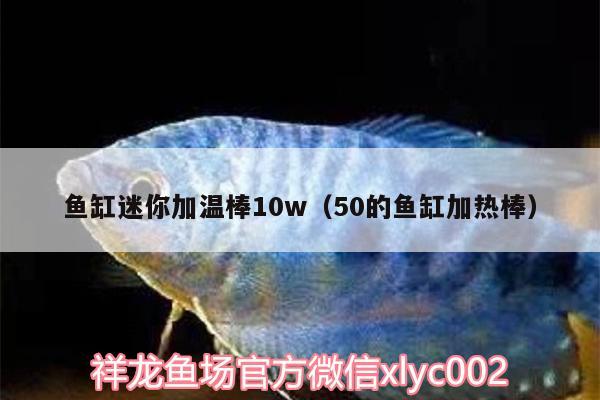 魚缸迷你加溫棒10w（50的魚缸加熱棒） 龍魚批發(fā)