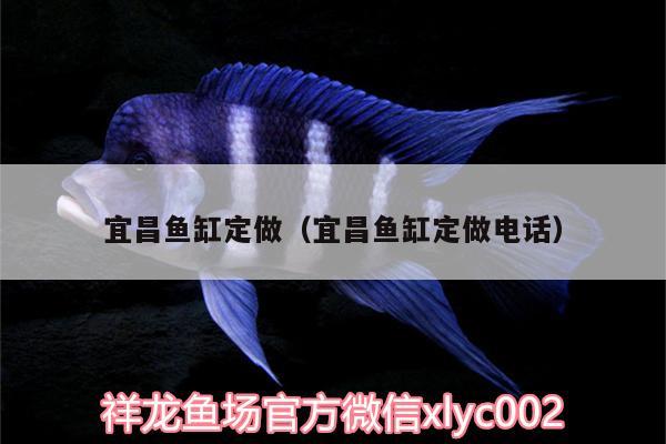 宜昌魚缸定做（宜昌魚缸定做電話） 蘇虎