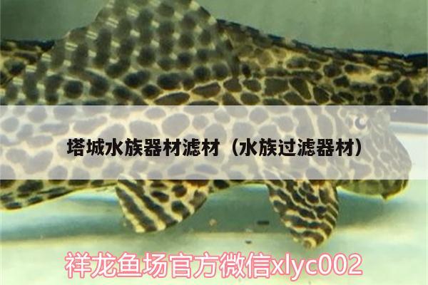 塔城水族器材濾材（水族過濾器材）