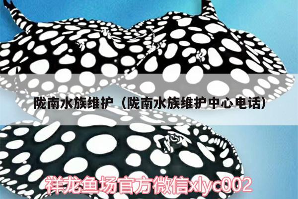 隴南水族維護（隴南水族維護中心電話） 羅漢魚批發(fā)