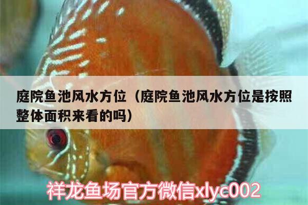 庭院魚池風(fēng)水方位（庭院魚池風(fēng)水方位是按照整體面積來看的嗎）