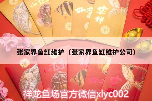 張家界魚缸維護（張家界魚缸維護公司）