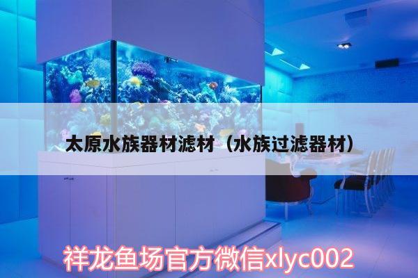 太原水族器材濾材（水族過濾器材） 月光鴨嘴魚