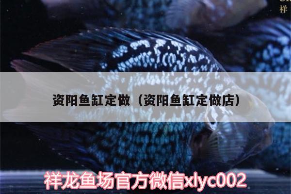 資陽魚缸定做（資陽魚缸定做店）