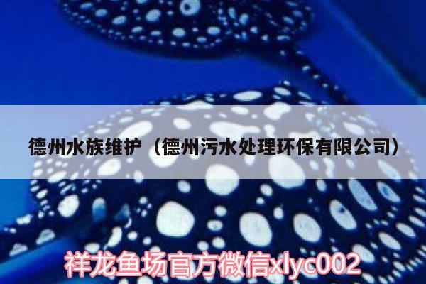 德州水族維護(hù)（德州污水處理環(huán)保有限公司）