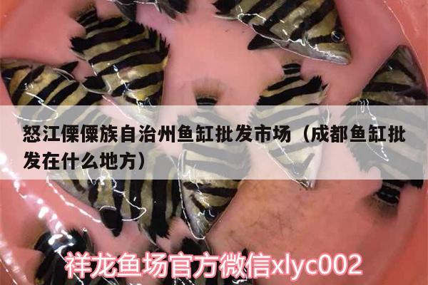 怒江傈僳族自治州魚缸批發(fā)市場(chǎng)（成都魚缸批發(fā)在什么地方）