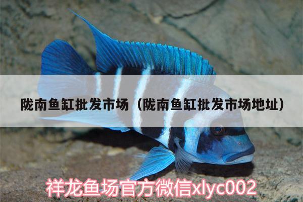 隴南魚缸批發(fā)市場(chǎng)（隴南魚缸批發(fā)市場(chǎng)地址）