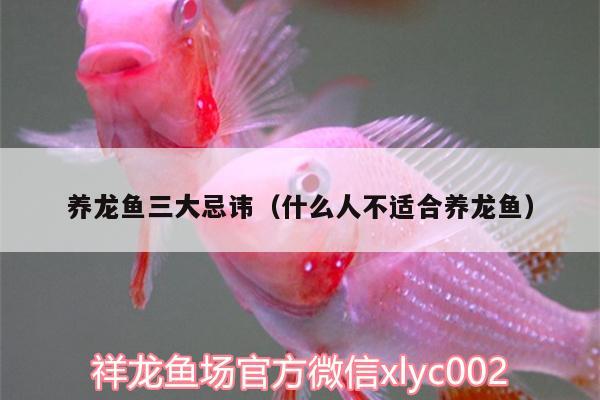 養(yǎng)龍魚三大忌諱（什么人不適合養(yǎng)龍魚） 埃及神仙魚