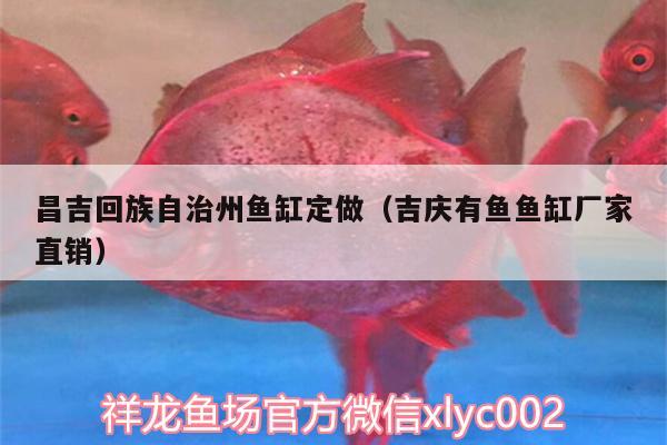 昌吉回族自治州魚缸定做（吉慶有魚魚缸廠家直銷） 紅龍福龍魚