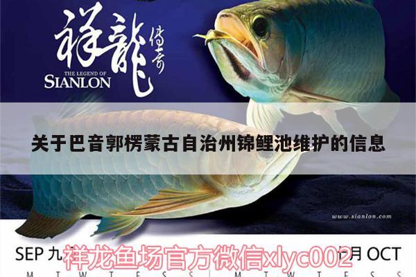 關(guān)于巴音郭楞蒙古自治州錦鯉池維護(hù)的信息 魚缸百科