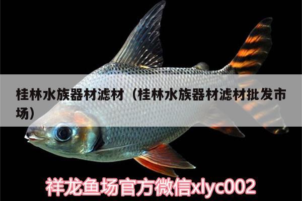 桂林水族器材濾材（桂林水族器材濾材批發(fā)市場） 廣州水族器材濾材批發(fā)市場