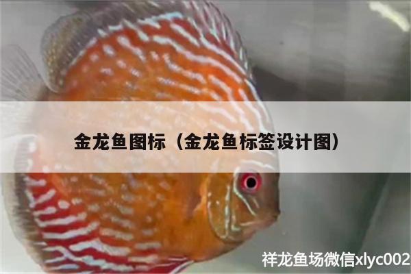 金龍魚圖標（金龍魚標簽設(shè)計圖） 印尼虎苗