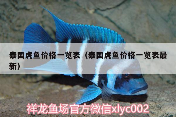 泰國虎魚價格一覽表（泰國虎魚價格一覽表最新）