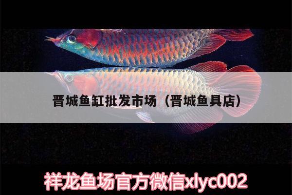 晉城魚(yú)缸批發(fā)市場(chǎng)（晉城魚(yú)具店） 飛鳳魚(yú)苗