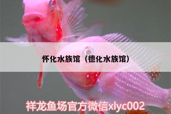 懷化水族館（德化水族館）