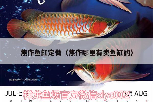 焦作魚缸定做（焦作哪里有賣魚缸的） 鐵甲武士