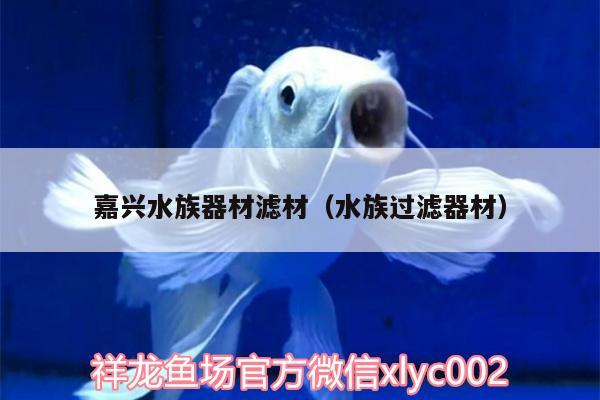 嘉興水族器材濾材（水族過濾器材） 熊貓異形魚L46