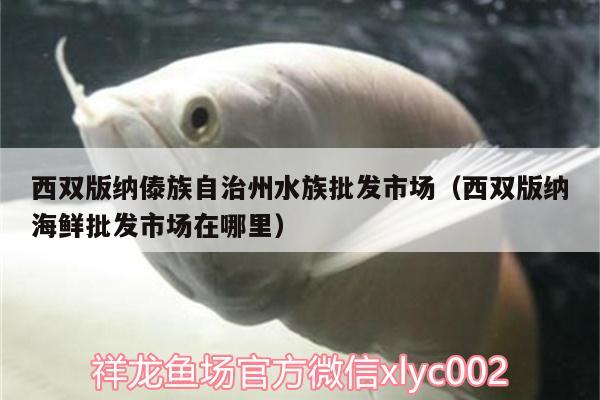 西雙版納傣族自治州水族批發(fā)市場(chǎng)（西雙版納海鮮批發(fā)市場(chǎng)在哪里） 觀賞魚水族批發(fā)市場(chǎng)