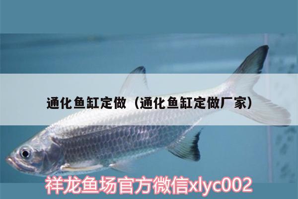 通化魚缸定做（通化魚缸定做廠家）