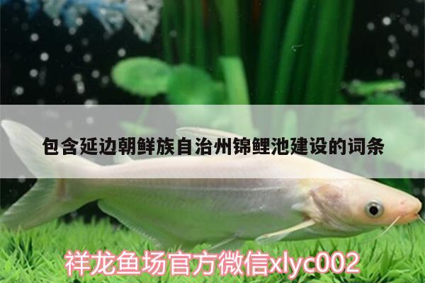 包含延邊朝鮮族自治州錦鯉池建設(shè)的詞條 祥龍水族濾材/器材 第1張