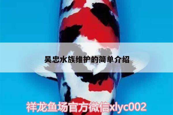 吳忠水族維護(hù)的簡單介紹 虎魚魚苗