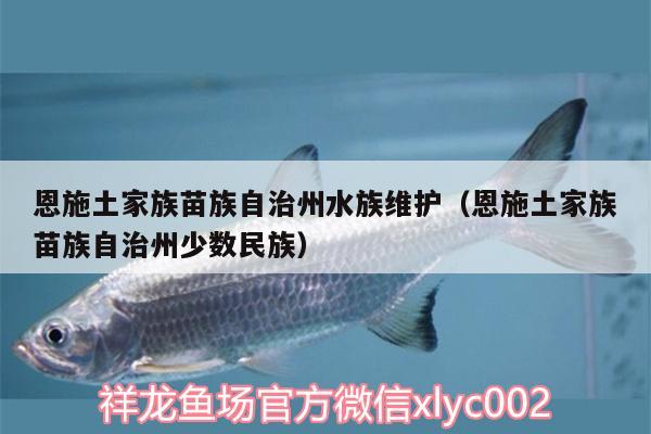 恩施土家族苗族自治州水族維護(hù)（恩施土家族苗族自治州少數(shù)民族）