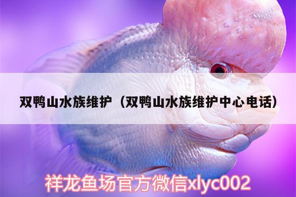 雙鴨山水族維護（雙鴨山水族維護中心電話）