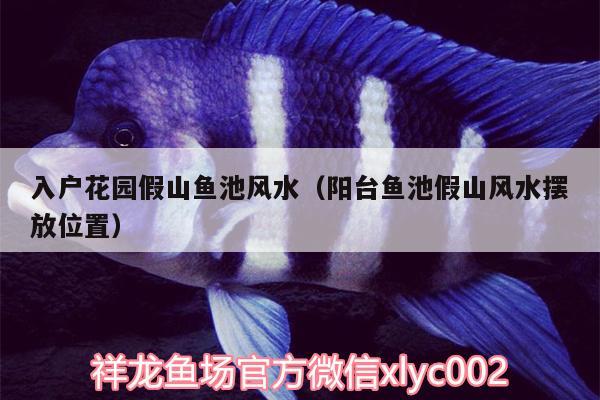 入戶花園假山魚池風(fēng)水（陽(yáng)臺(tái)魚池假山風(fēng)水?dāng)[放位置）