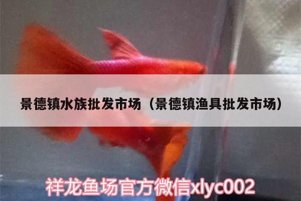 景德鎮(zhèn)水族批發(fā)市場（景德鎮(zhèn)漁具批發(fā)市場） 觀賞魚水族批發(fā)市場