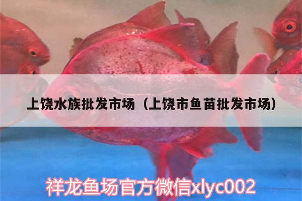 上饒水族批發(fā)市場(chǎng)（上饒市魚(yú)苗批發(fā)市場(chǎng)）