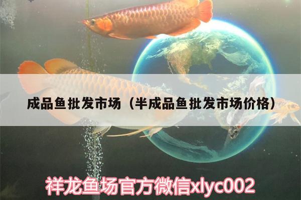 成品魚批發(fā)市場（半成品魚批發(fā)市場價格）