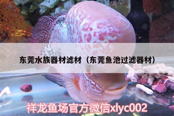 東莞水族器材濾材（東莞魚池過濾器材）