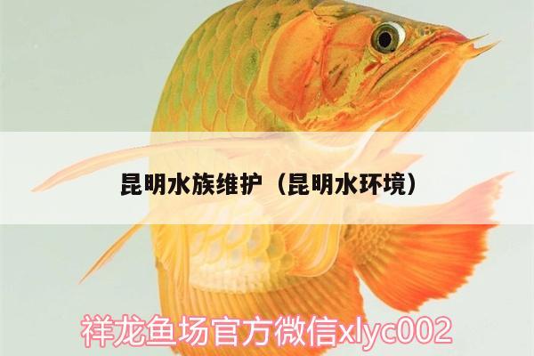 昆明水族維護(hù)（昆明水環(huán)境） 殺菌消毒設(shè)備