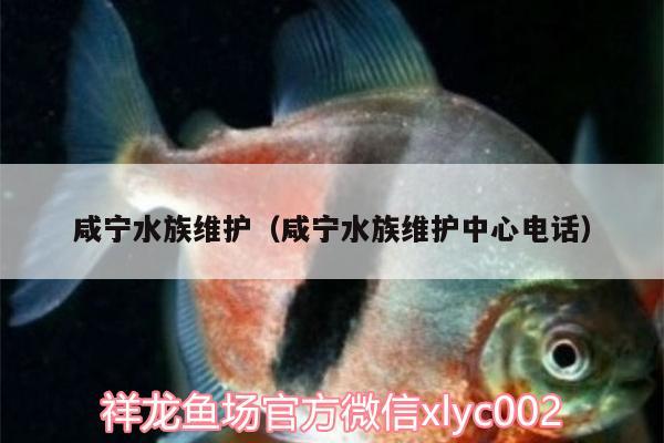 咸寧水族維護(hù)（咸寧水族維護(hù)中心電話）