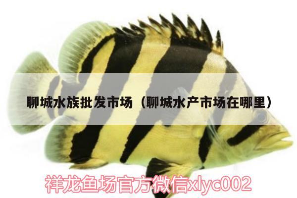 聊城水族批發(fā)市場（聊城水產(chǎn)市場在哪里） 觀賞魚水族批發(fā)市場 第2張