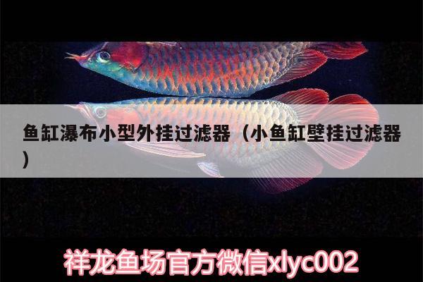 魚缸瀑布小型外掛過(guò)濾器（小魚缸壁掛過(guò)濾器） 斑馬鴨嘴魚苗