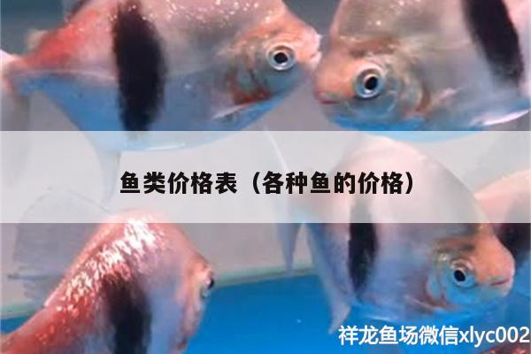 魚類價格表（各種魚的價格）