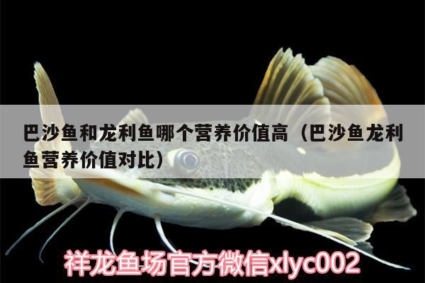 巴沙魚(yú)和龍利魚(yú)哪個(gè)營(yíng)養(yǎng)價(jià)值高（巴沙魚(yú)龍利魚(yú)營(yíng)養(yǎng)價(jià)值對(duì)比）