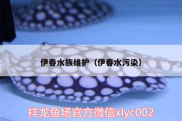 伊春水族維護(hù)（伊春水污染） 伊巴卡魚(yú)