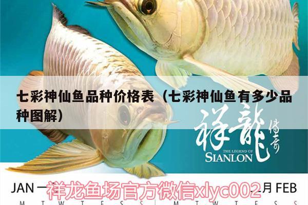 七彩神仙魚(yú)品種價(jià)格表（七彩神仙魚(yú)有多少品種圖解）