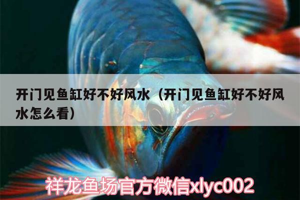 開門見(jiàn)魚缸好不好風(fēng)水（開門見(jiàn)魚缸好不好風(fēng)水怎么看） 魚缸風(fēng)水