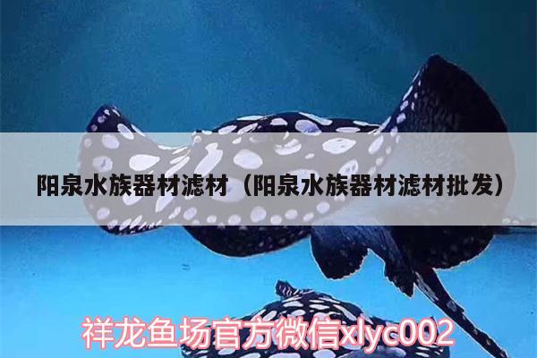 陽泉水族器材濾材（陽泉水族器材濾材批發(fā)） 細(xì)線銀板魚苗