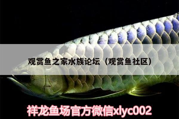 觀賞魚(yú)之家水族論壇（觀賞魚(yú)社區(qū)）