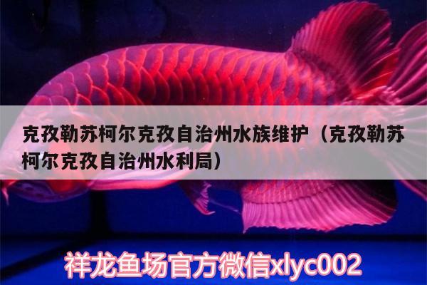 克孜勒蘇柯爾克孜自治州水族維護（克孜勒蘇柯爾克孜自治州水利局） 斑馬鴨嘴魚