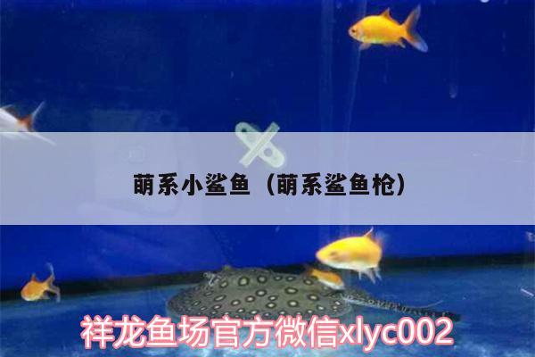 萌系小鯊魚（萌系鯊魚槍） 大嘴鯨魚