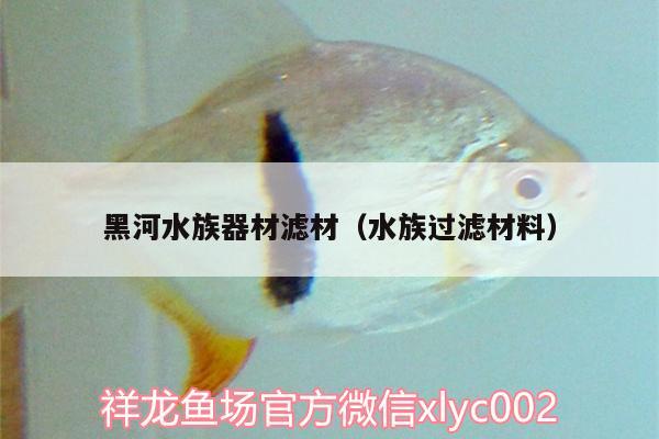 黑河水族器材濾材（水族過濾材料） 斑馬鴨嘴魚